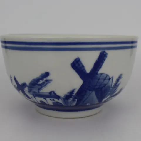 Blue & White Delfts Bowl