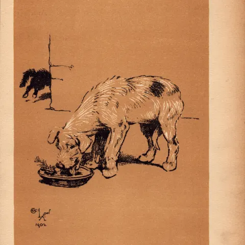Cecil Aldin Antique Lovable Scamp Of a Terrier illustration A Dog Day -19.