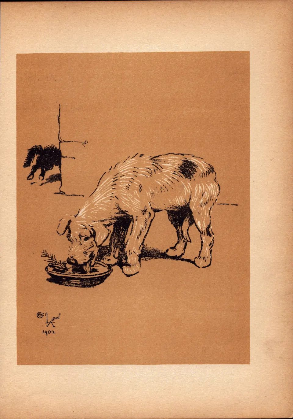 Cecil Aldin Antique Lovable Scamp Of a Terrier illustration A Dog Day -19.