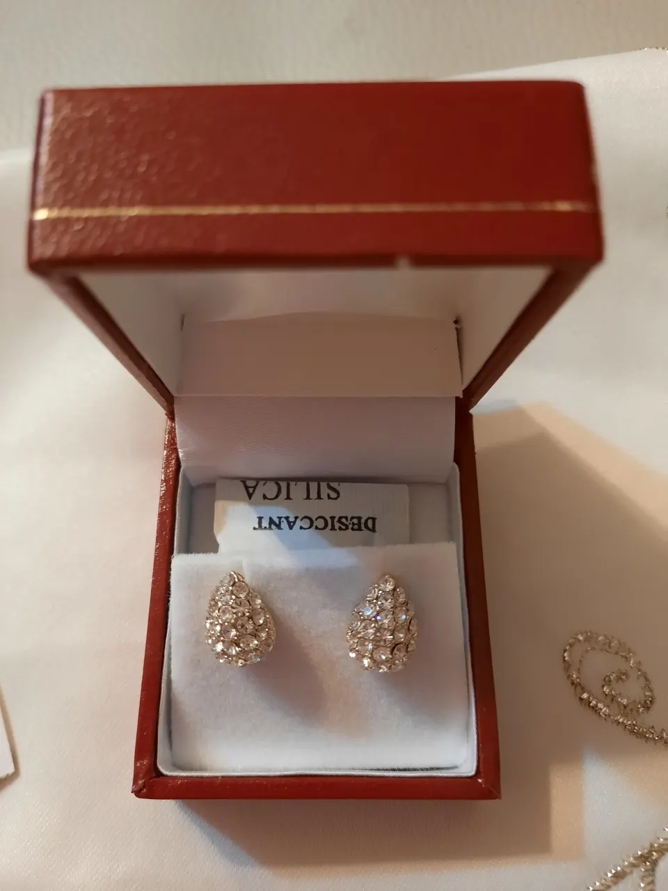 Richard Designs Earrings RRP £49