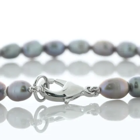 Freshwater Cultured 4.5 - 5.0mm Pearl Bracelet With Sterling Silver Plated Clasp