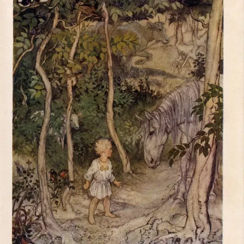 Fionn McCool Boyhood Horse 1924 Irish Fairy Tales Arthur Rackham.