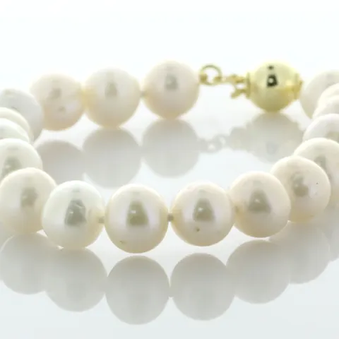 Freshwater Cultured 8.5 - 9.0mm Pearl Bracelet With Gold Plated Silver Clasp