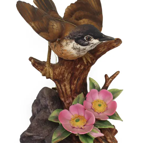 Porcelain Whitethroat by Kowa