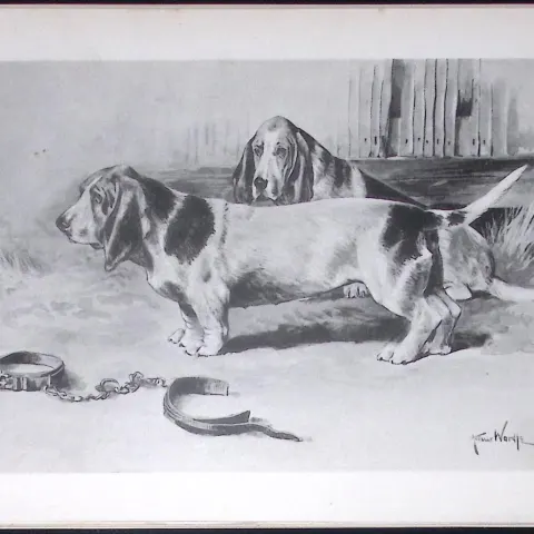 Basset Hounds Antique Book Plate Rawdon Lee Modern Dogs 1893-46