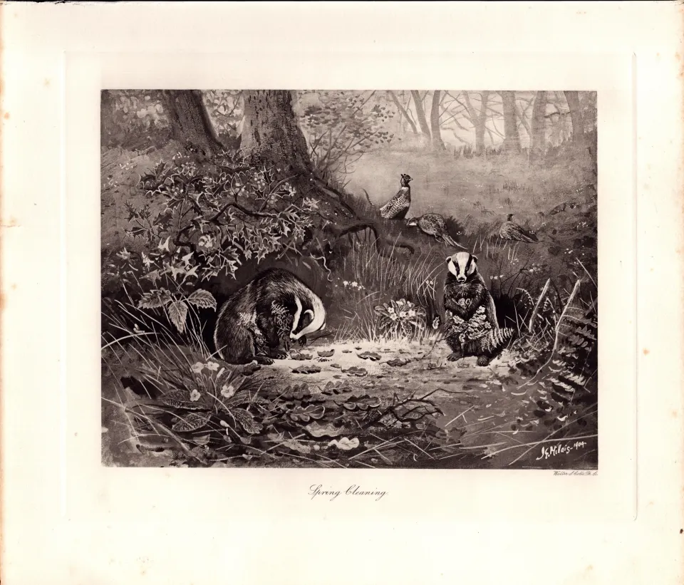 Otters Spring Clearing Rare Limited-Edition Antique JG Millais Print-73.