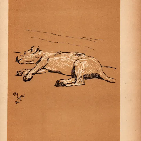 Cecil Aldin Antique Lovable Scamp Of a Terrier illustration A Dog Day -22.
