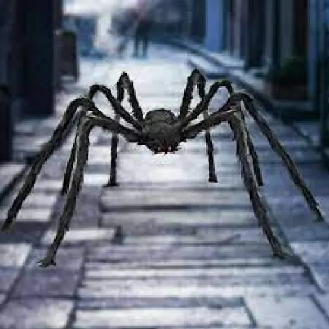 Halloween Giant Large Spider. 50398784