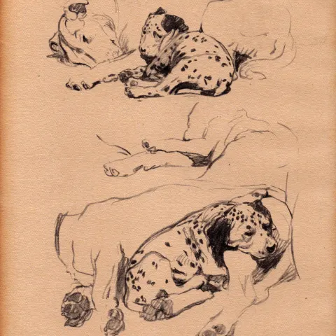 Cecil Aldin Original Vintage 88 Years Old Illustration How to Draw Dogs-4.