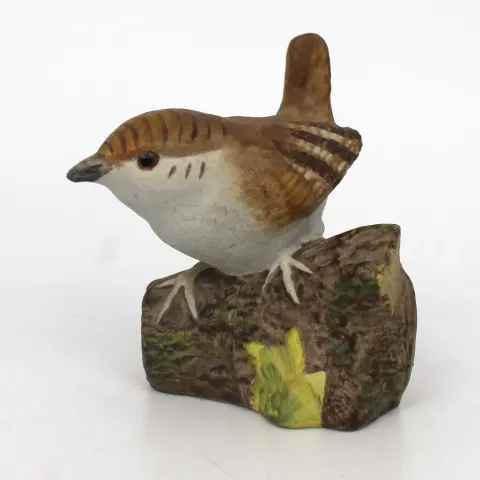 Acorn Bird Wren