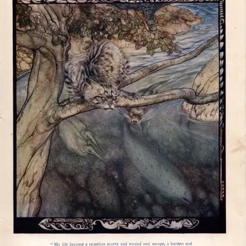 The Repeated Earth-Lives of Bran 1924 Irish Fairy Tales Arthur Rackham