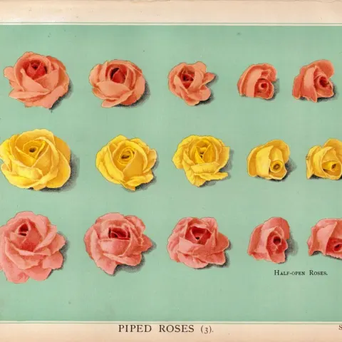Piped Cake Flowers Victorian Coloured Antique Chromolithograph Print.