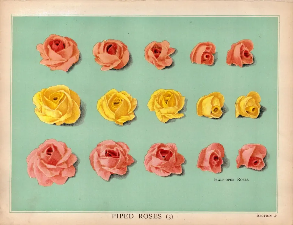 Piped Cake Flowers Victorian Coloured Antique Chromolithograph Print.