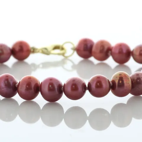 Freshwater Cultured 7.0 - 7.5mm Pearl Bracelet With Gold Plated Clasp