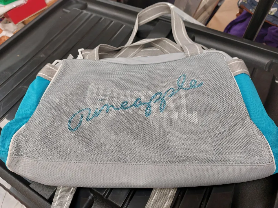 Grey and turquoise Pineapple bag