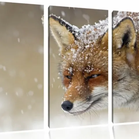 3 Piece Fox In The Snow Canvas Picture