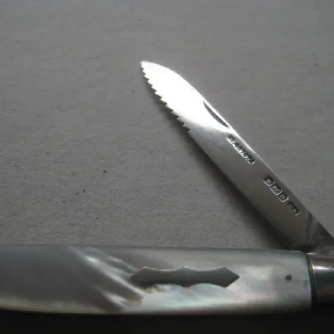 Rare Edwardian Saw Silver Bladed Folding Fruit Knife