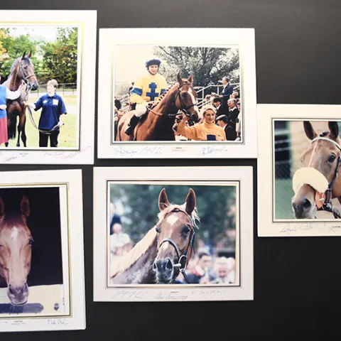 Horse racing photos with Jockey, Trainer & Owner original signatures.