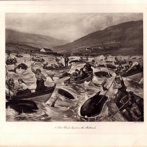 Whale Hunt in The Shetlands Rare Limited-Edition Antique Print-1.