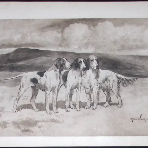 Pointers & Setters Antique 1893 Book Plate Rawdon Lee Modern Dogs-55