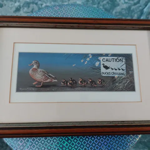 Framed duck picture