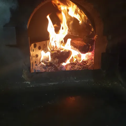 Pizza Oven. Gas or wood fired.