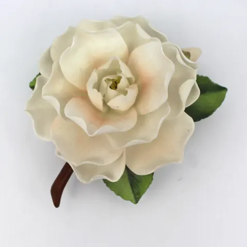 Royal Worcester Flower Camellia