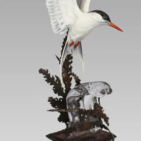 Albany Worcester David Burnham-Smith Sculpture Arctic Tern