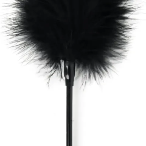 Unbranded Feather Tickler