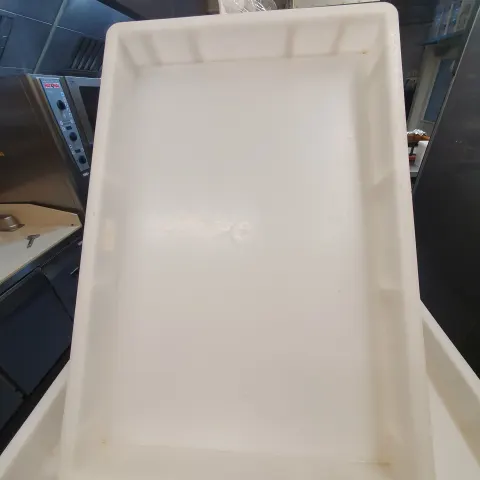 30 Pizza trays