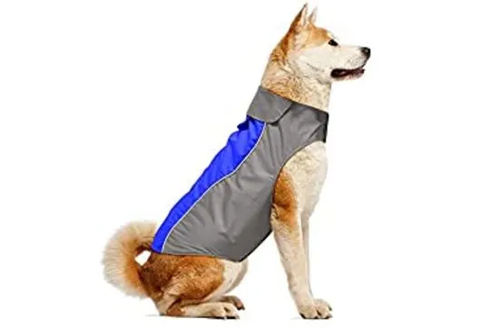 10 x Dog Waterproof Raincoats RRP £196.70 Lb21