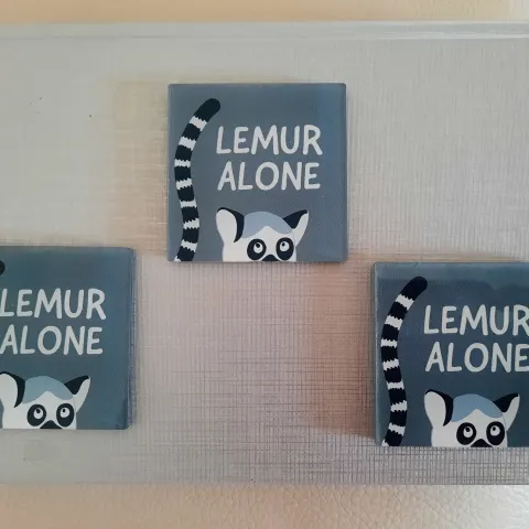 Fridge magnets from Paperchase
