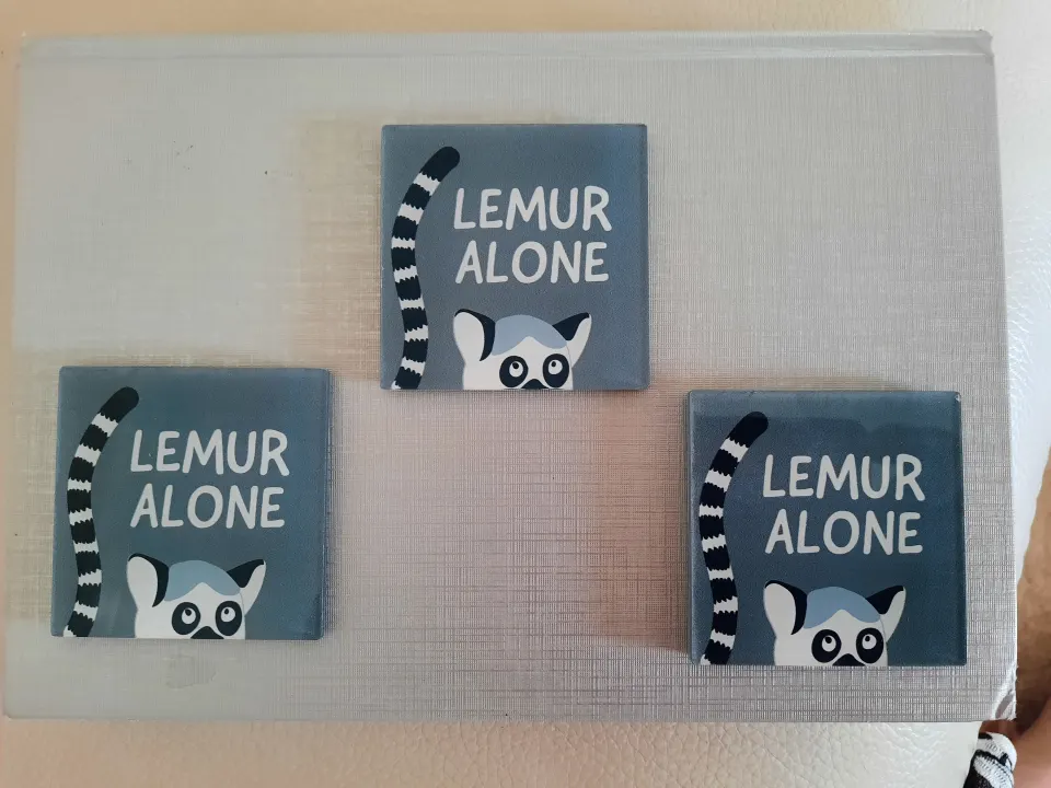 Fridge magnets from Paperchase