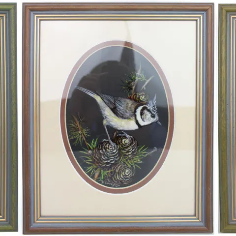 Group of 3 Fine Bird Paintings by Liz Garnett-Orme (British, Contemporary)
