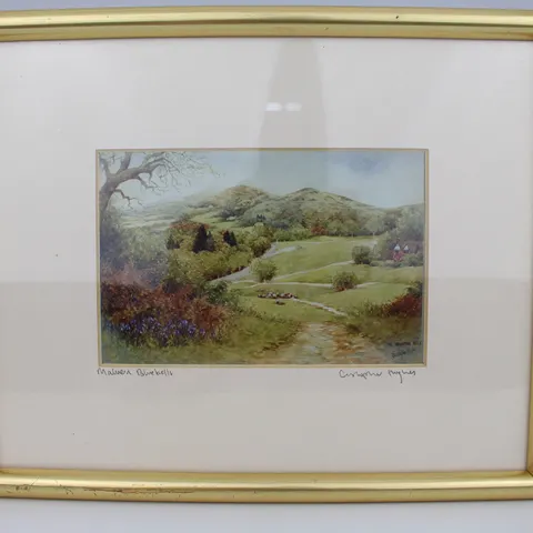 Pair of Limited Edition Framed Worcester Prints