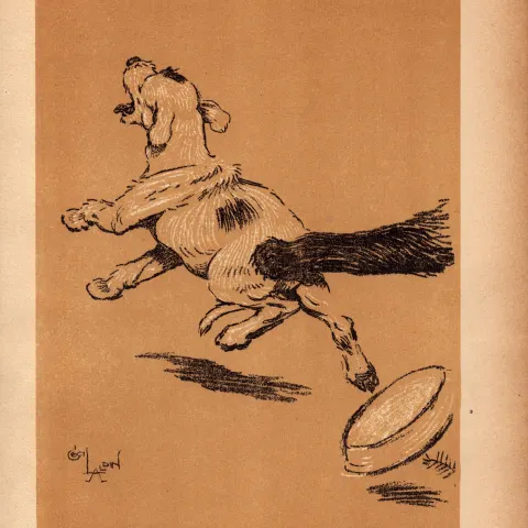 Cecil Aldin Antique Lovable Scamp Of a Terrier illustration A Dog Day -20.