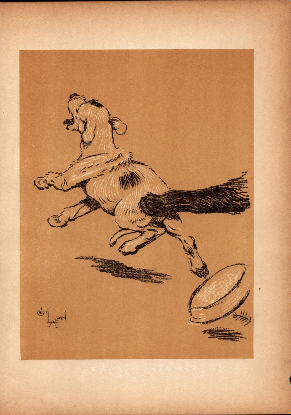 Cecil Aldin Antique Lovable Scamp Of a Terrier illustration A Dog Day -20.