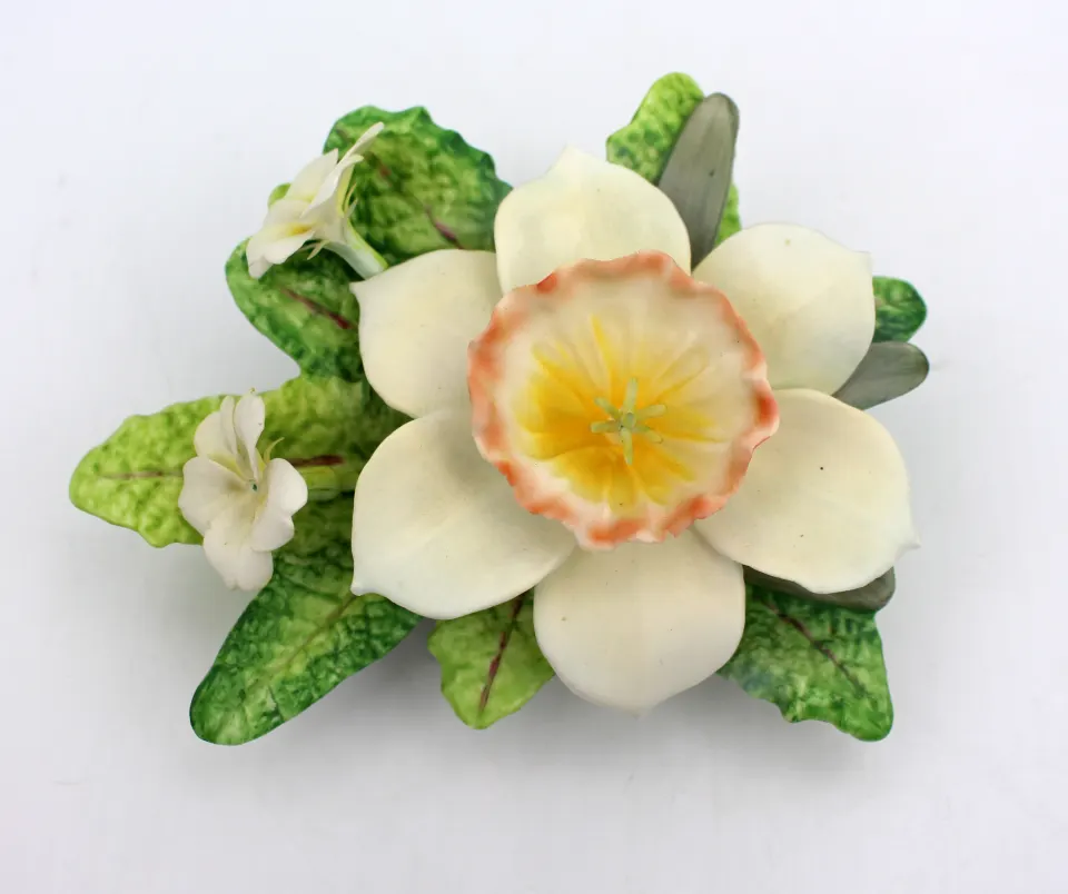 Royal Worcester Flower Narcissus