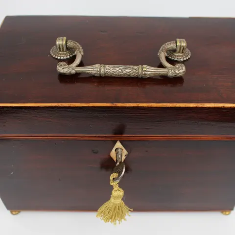 Georgian Mahogany Double Tea Caddy with Brass Handle