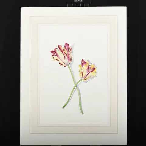 Original Painting by Annabel Fairfax