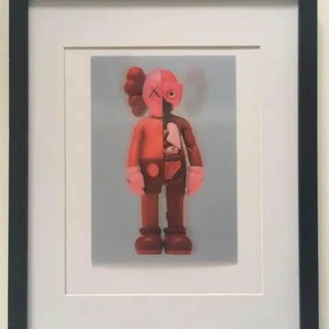 Kaws (b.1974) Import, 3D Lenticular Image Flayed Companion In Blush, Exhibition At NGV, Framed, 2019