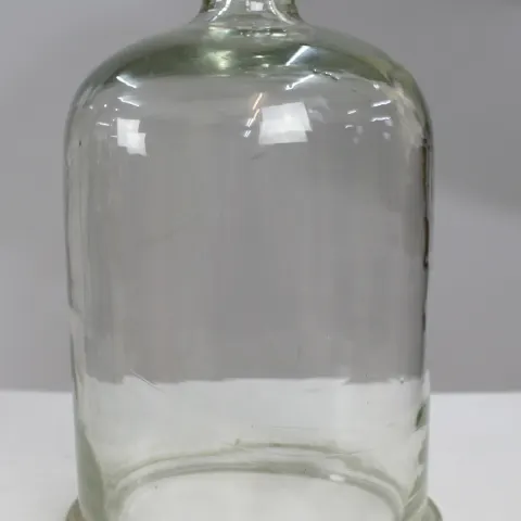 Victorian Bell Glass Dome Cover