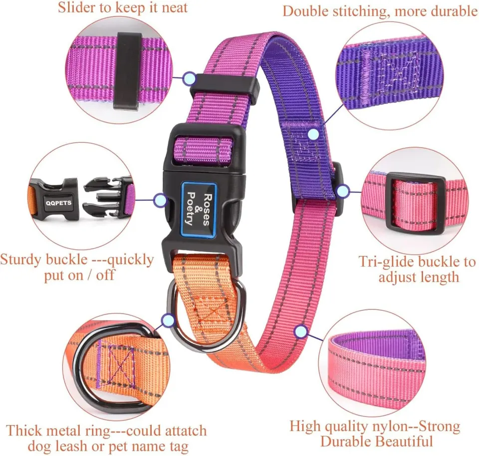 15 x Reflective Dog Collar With Gradient Azure L13b
