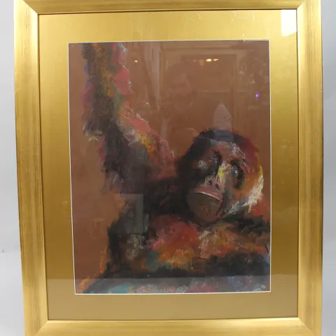 Original Artwork Pastel Gorilla by Kate Rees