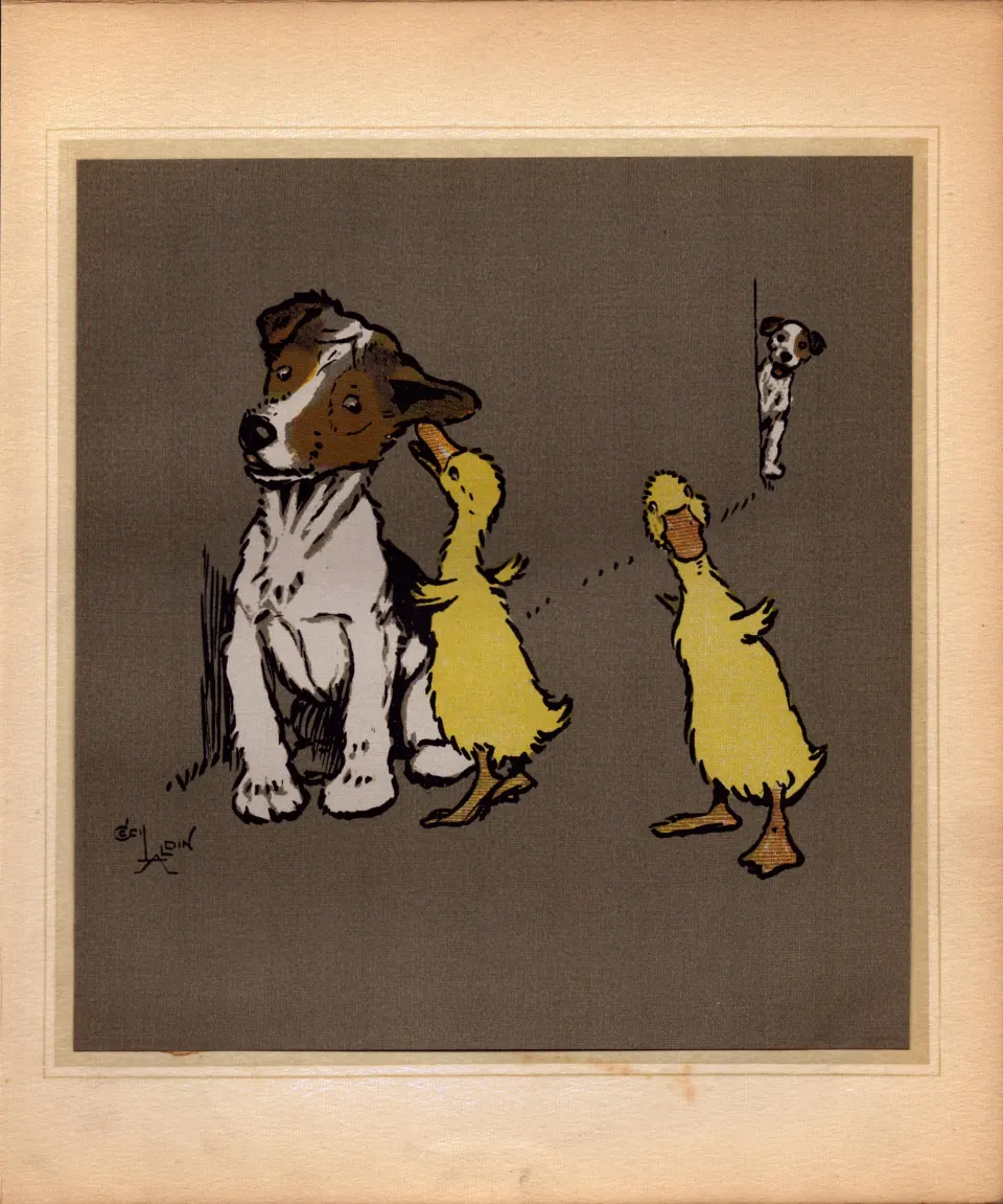 Cecil Aldin Merry Party Rare Antique Book Plate “The Duck Secret”