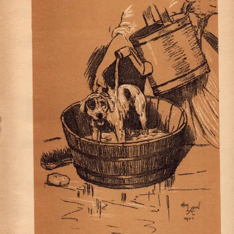 Cecil Aldin Antique Lovable Scamp Of a Terrier illustration A Dog Day -27.