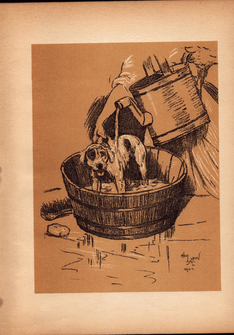 Cecil Aldin Antique Lovable Scamp Of a Terrier illustration A Dog Day -27.