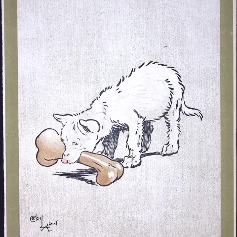 Cecil Aldin Antique Zoo Babies Coloured Scarce Illustration “The Dingo”-1