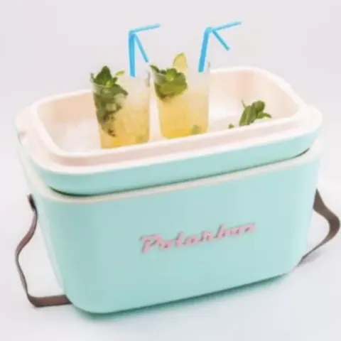 Retro Pop Baby Blue Polarbox 20L Picnic / Camping / Garden Drink Store Insulated Cool Box RRP £60