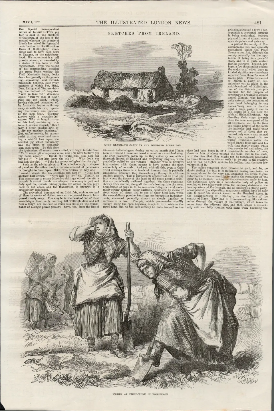 Women Tenants  Working The Field Roscommon  Ireland 1870 Antique Print.